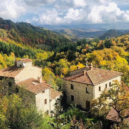 Bio Agriturismo Il Vigno Caprese Michelangelo Εξωτερικό φωτογραφία