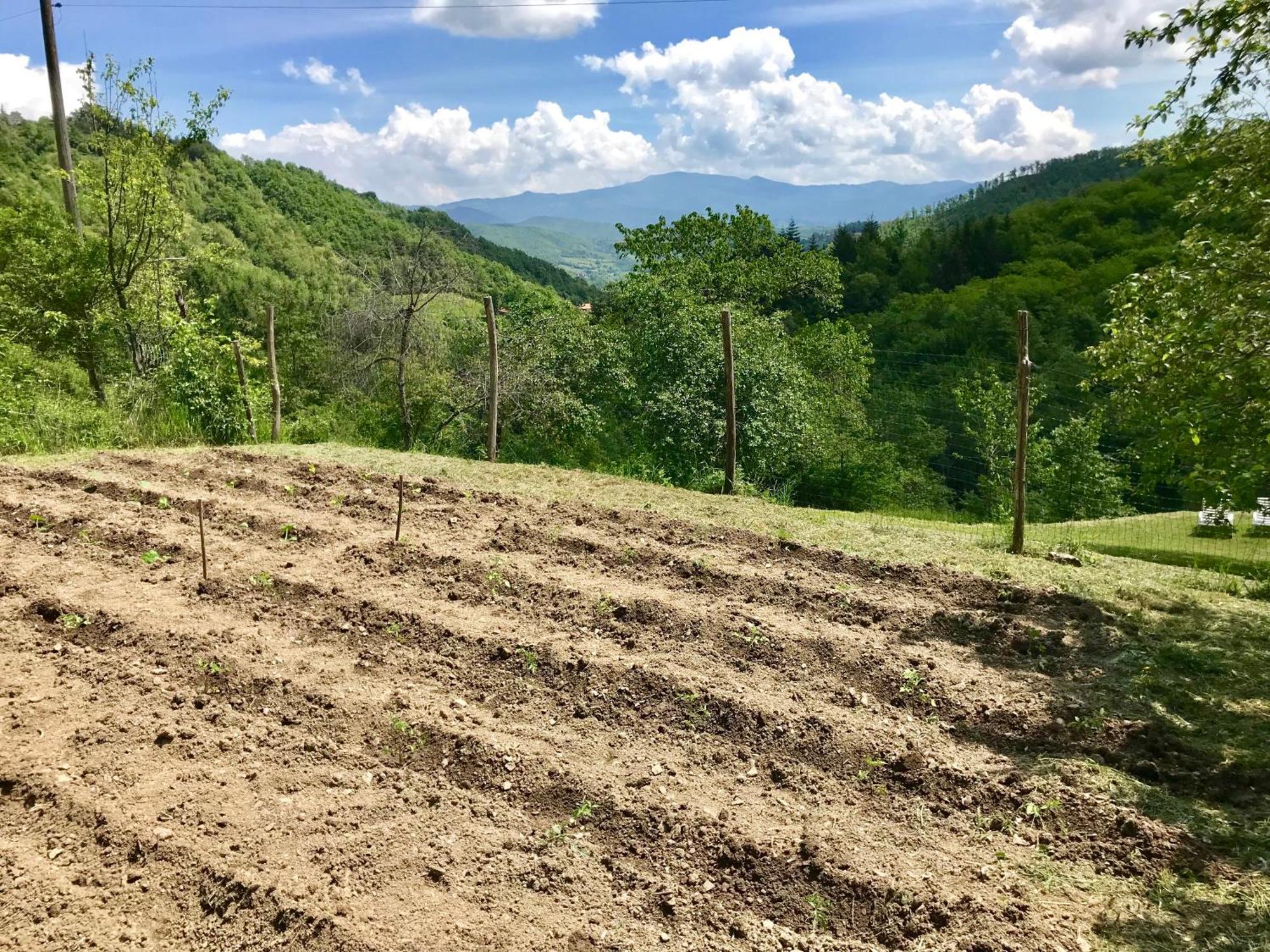 Bio Agriturismo Il Vigno Caprese Michelangelo Εξωτερικό φωτογραφία