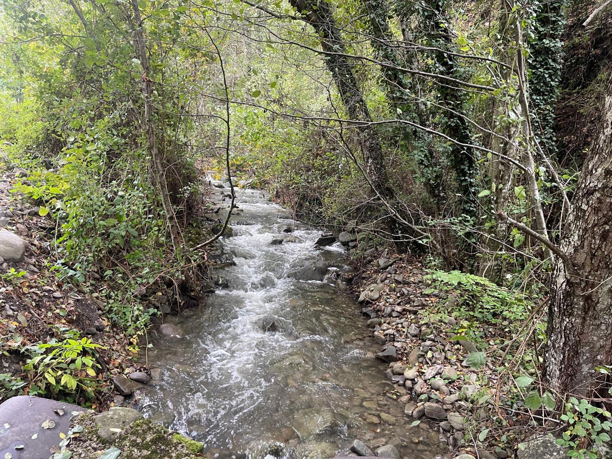 Bio Agriturismo Il Vigno Caprese Michelangelo Εξωτερικό φωτογραφία