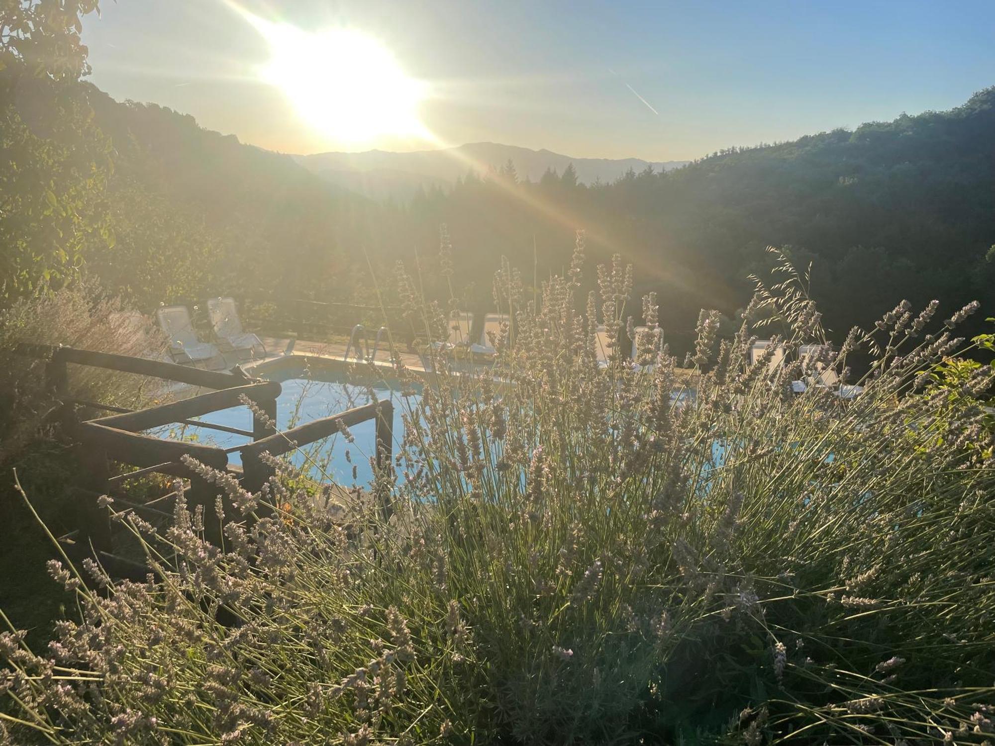 Bio Agriturismo Il Vigno Caprese Michelangelo Εξωτερικό φωτογραφία