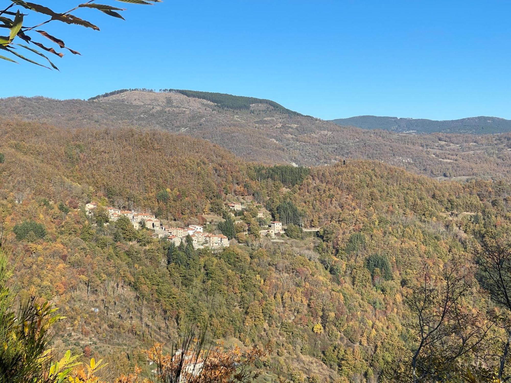 Bio Agriturismo Il Vigno Caprese Michelangelo Εξωτερικό φωτογραφία