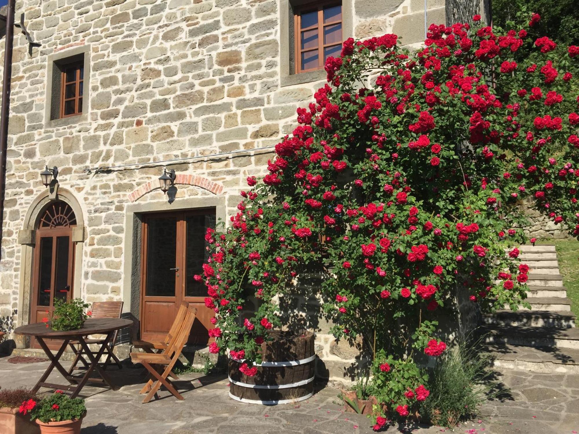 Bio Agriturismo Il Vigno Caprese Michelangelo Εξωτερικό φωτογραφία