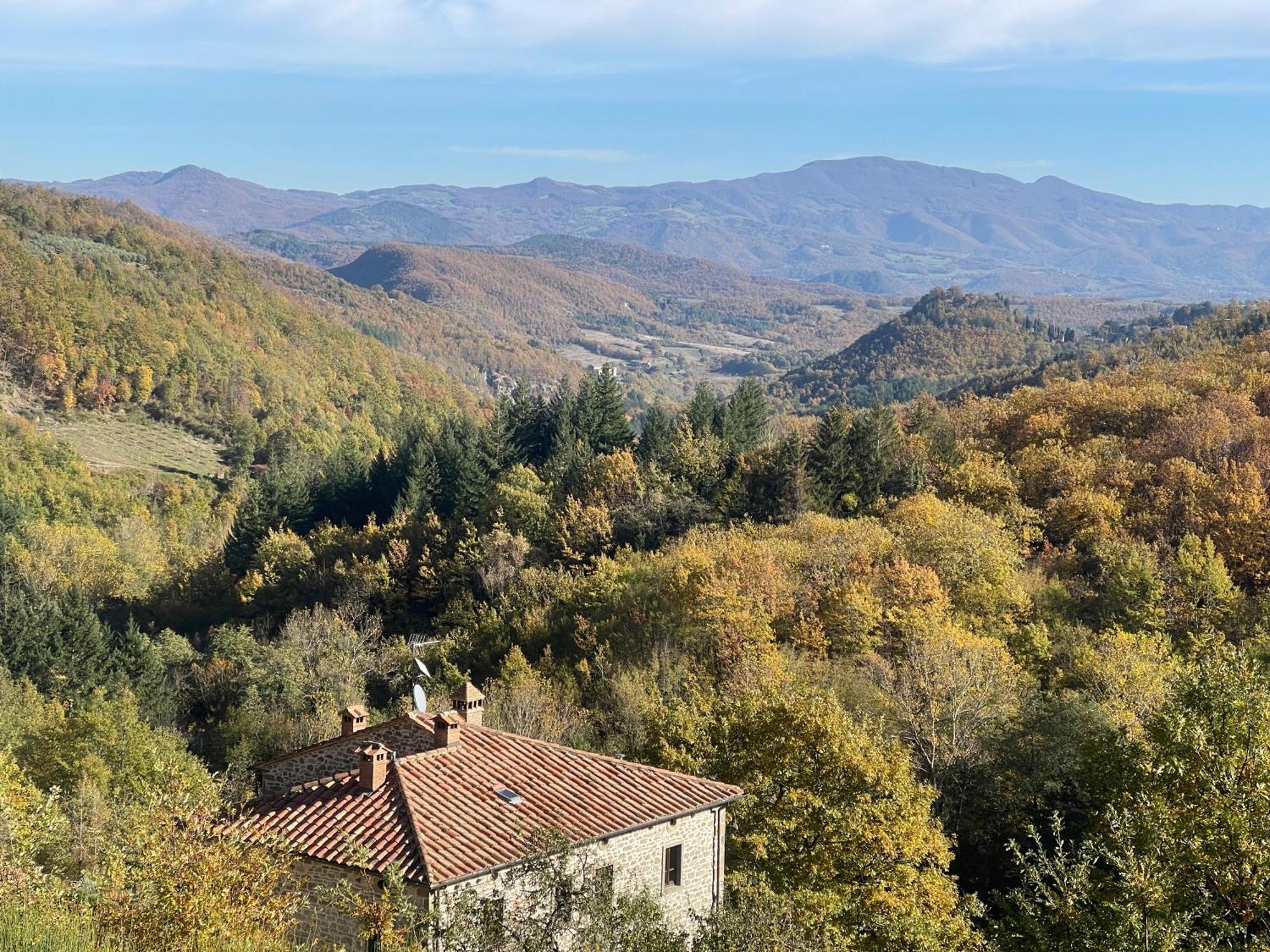 Bio Agriturismo Il Vigno Caprese Michelangelo Εξωτερικό φωτογραφία