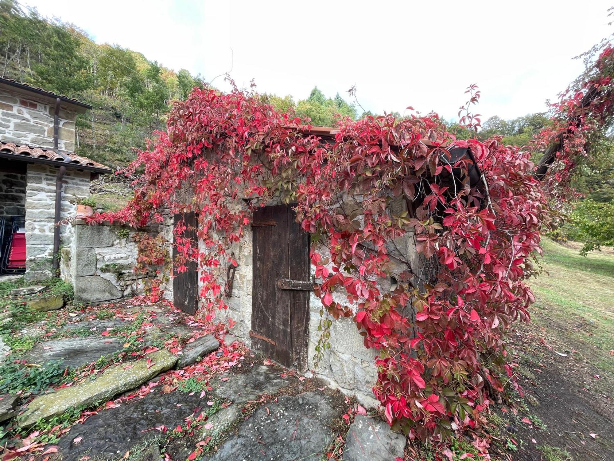 Bio Agriturismo Il Vigno Caprese Michelangelo Εξωτερικό φωτογραφία
